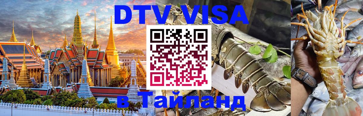 Сколько стоит DTV виза — актуальные цены, оформление даже без документов - Долгопрудный 